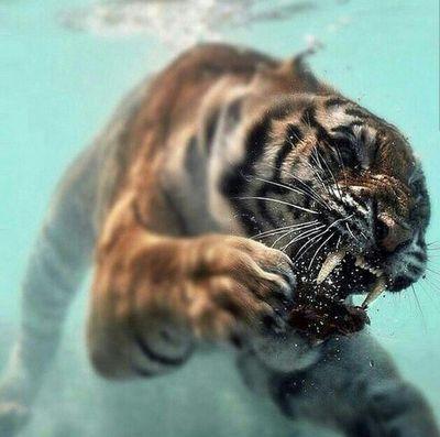 kings_table_ent's profile picture. 