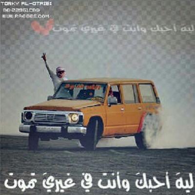 SALEHSAFAR2's profile picture. 