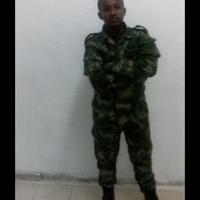 Francisco Bruno (@aef3a273d38e489) 's Twitter Profile