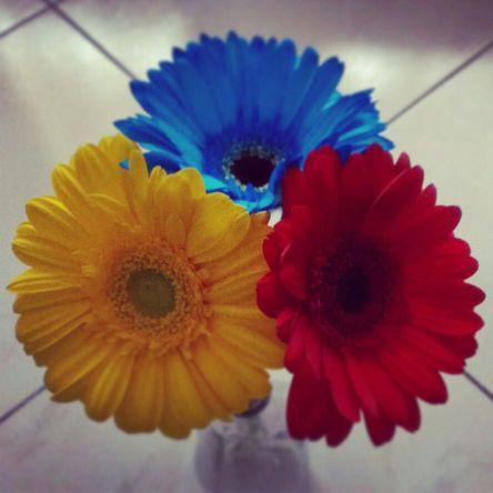 marivfa's profile picture. Ing. Informática