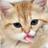 CatsWhoTweet's profile image