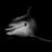 pac_ac's profile image