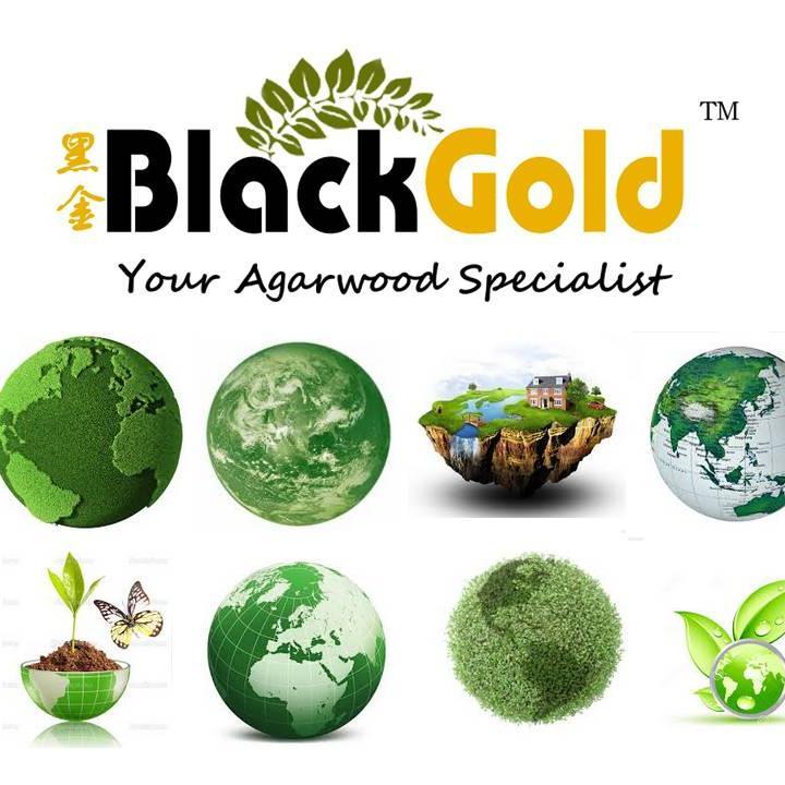 BlackGoldAgar's profile picture. Male