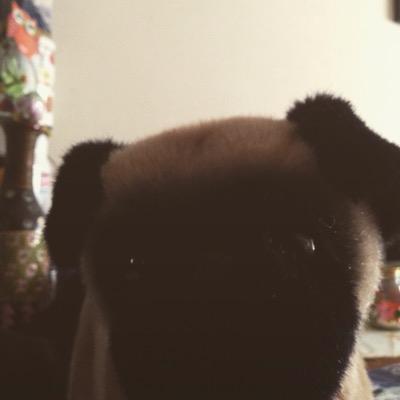 eveldys123's profile picture. training for marathons runner