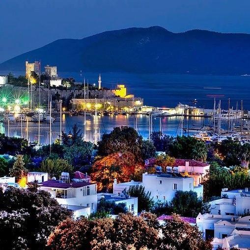 Bodrum'lu bir kadının gözünden papatyalar ve sokaklar...