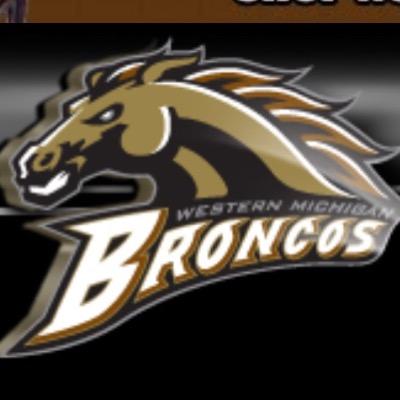 WMU Baseball Fans