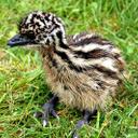 Andrew Abrahamson - @AndrewAEng - Twitter