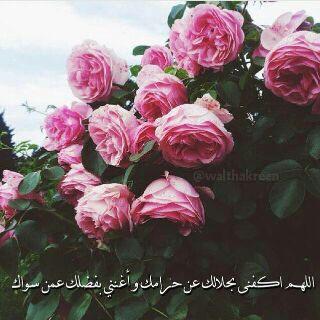 يَ الله أستودعك قلبه ي من لاتضيعُ ودائعُه♡