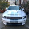 shelbygt5252's profile picture. 