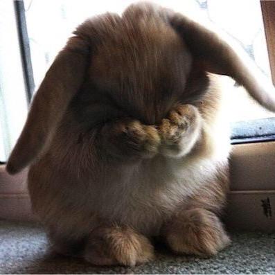 jghfdjcdd's profile picture. Believe in social justice, critical thinking, creativity, compassion, genuineness & unconditional positive regard. And a good cry. And especially a good laugh.