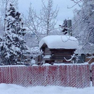 jayar1151's profile picture. 