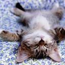 little kickin thru life...added a nap