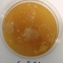 brent gavin - @Sayantipikoako - Twitter