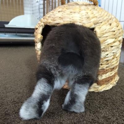 みたむらʕ•ᴥ•ʔ