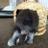 mi_ta_mura's profile image