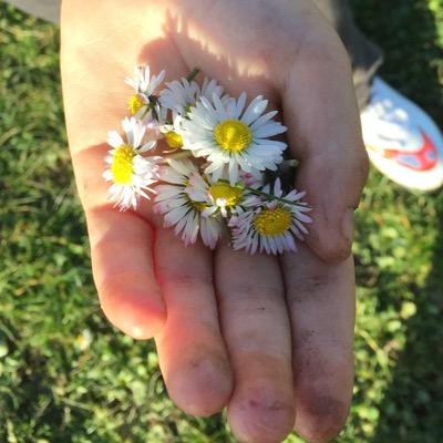 Ruthp_cymru's profile picture. living in Wales 🏴󠁧󠁢󠁷󠁬󠁳󠁿❤️. All views expressed are my own.