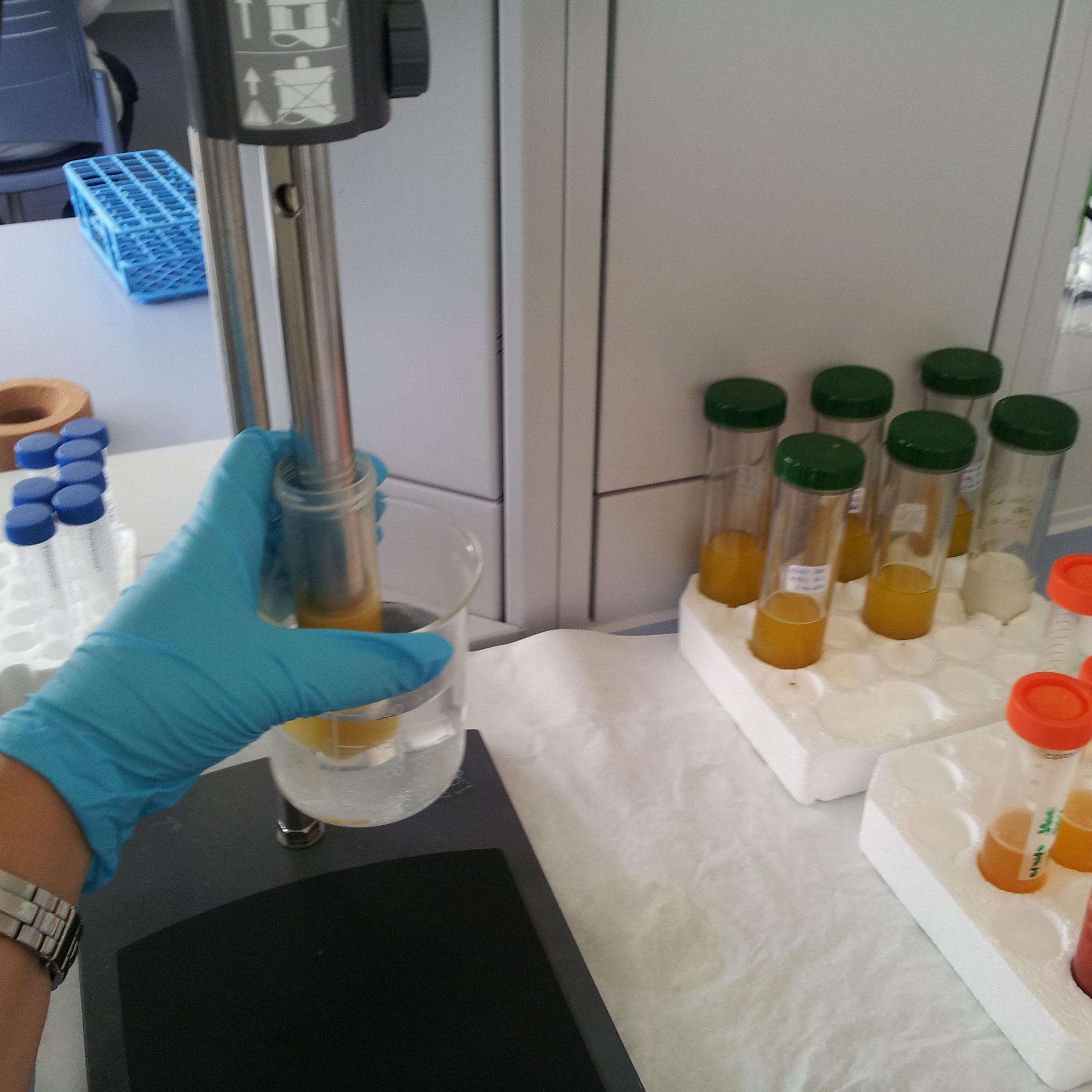 Diplomada en Nutricion Humana y Dietética y Licenciada en Ciencia y Tecnología de los Alimentos. Doctorado en Química