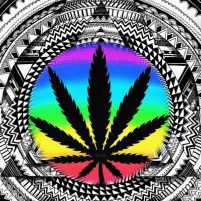 the daily toker 420