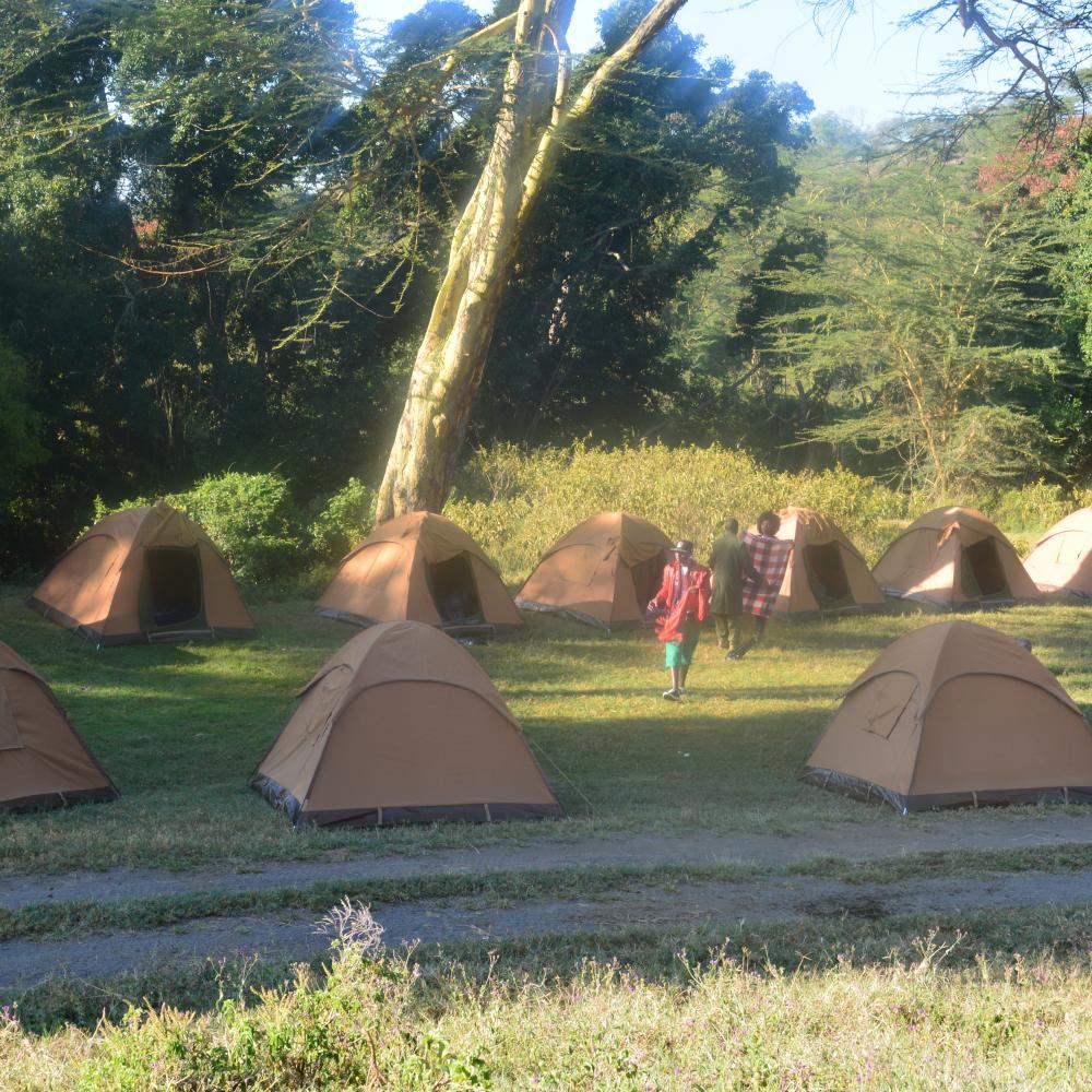 VincentVlangat's profile picture. 