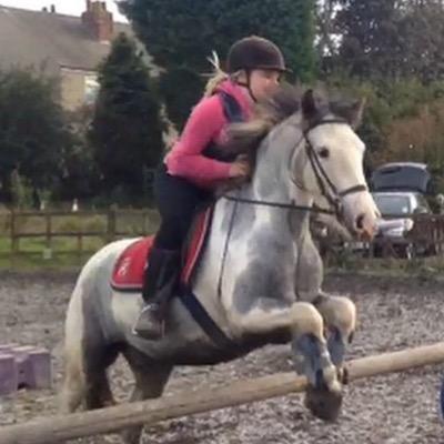 equestrain
minstrel
alfie
bernerd