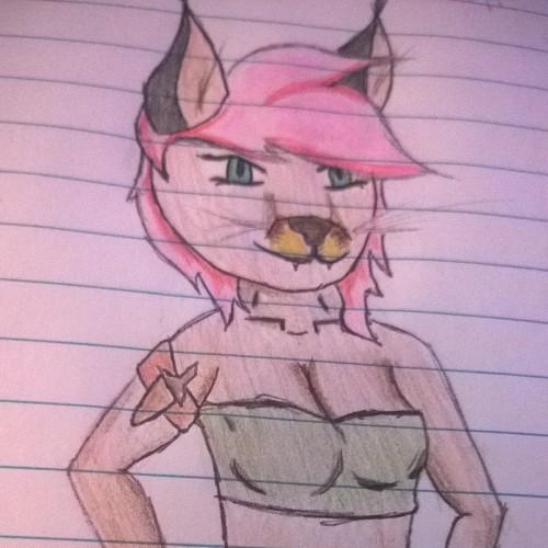 A pansexual caracal cat. Waifu to well.. No one. My dms are always open if you need someone to talk to.