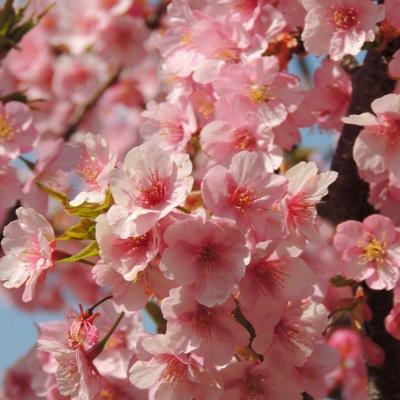 selection_0's profile picture. 