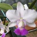 Julia Dang - @julia_duong - Twitter