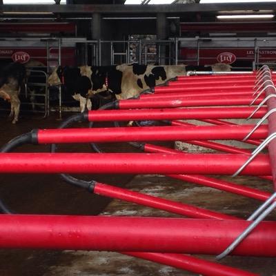 @Agrimat_Paul is your @easyfixofficial rep for South Munster and Leinster. Cow Mats, Easyflex Cow cubicles, Slat Mats, Parlour Matting