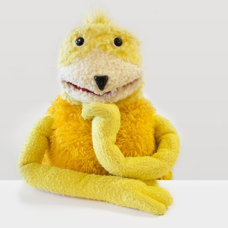 wellingtondany's profile picture. Dany: Melbourne Kiwi. Likes good food and wine, photography, gadgets and stuff. And like, yeah