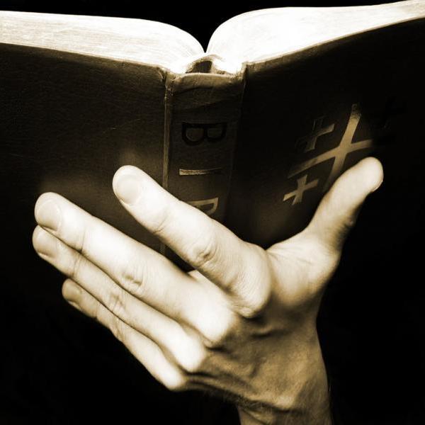 Feysikl's profile picture. 