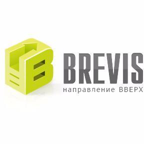 Агентство создания сайтов «BREVIS»