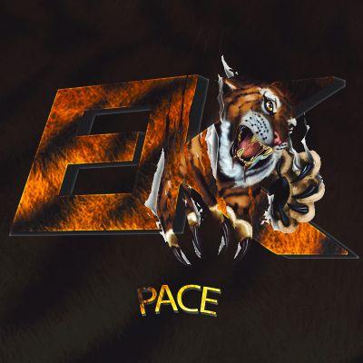Pace | Sniper,Designer for @EvolvedKingdom | Dreams | PS3 | YouTube coming soon | StayPositive |