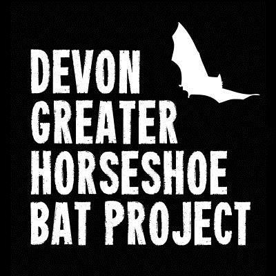 The Devon Greater Horseshoe Bat Project (2014-2021) enabled people to learn about, celebrate and help to care for these endangered bats. #NLHF supported