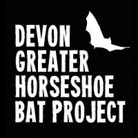 Devon Bat Project(@devonbatproject) 's Twitter Profileg