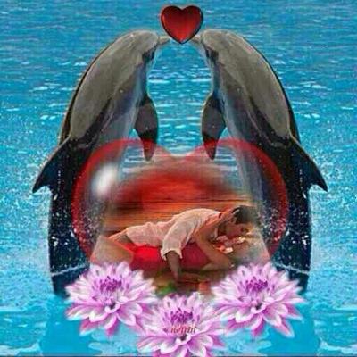 gireeshbabu3's profile picture. 