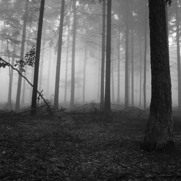 Dare_Gurph's profile picture. 