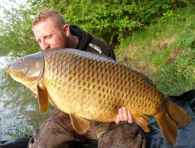 BohmGregor's profile picture. 