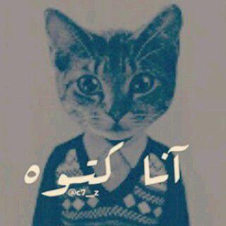 123456momoali's profile picture. 