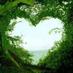 SacredGrove (@sacredgroveuk) Twitter profile photo SacredGrove (@sacredgroveuk) Twitter profile photo