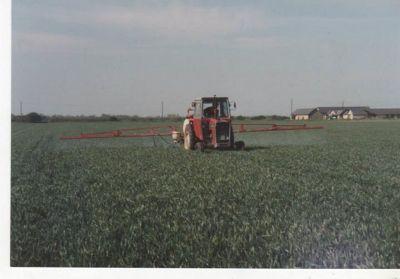 thelovelyben's profile picture. 