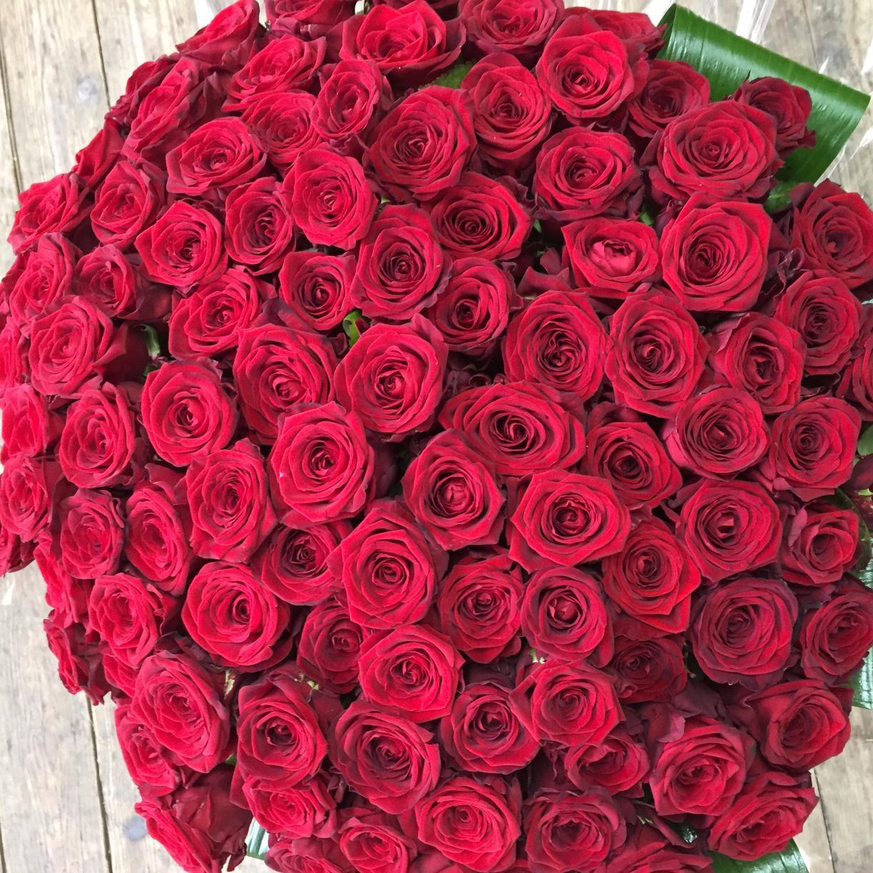 We are a top quality florist in brighton and have quality plants in a beautiful shop come and visit us sometime or place an order over the phone 01273 699911