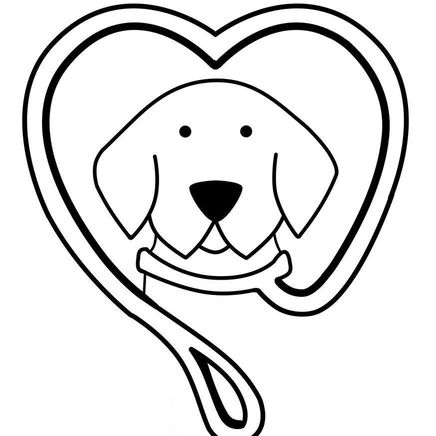A Dog Walking Service