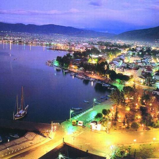 springfest_15's profile picture. 