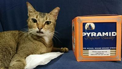 geetaraddict_SG's profile picture. 