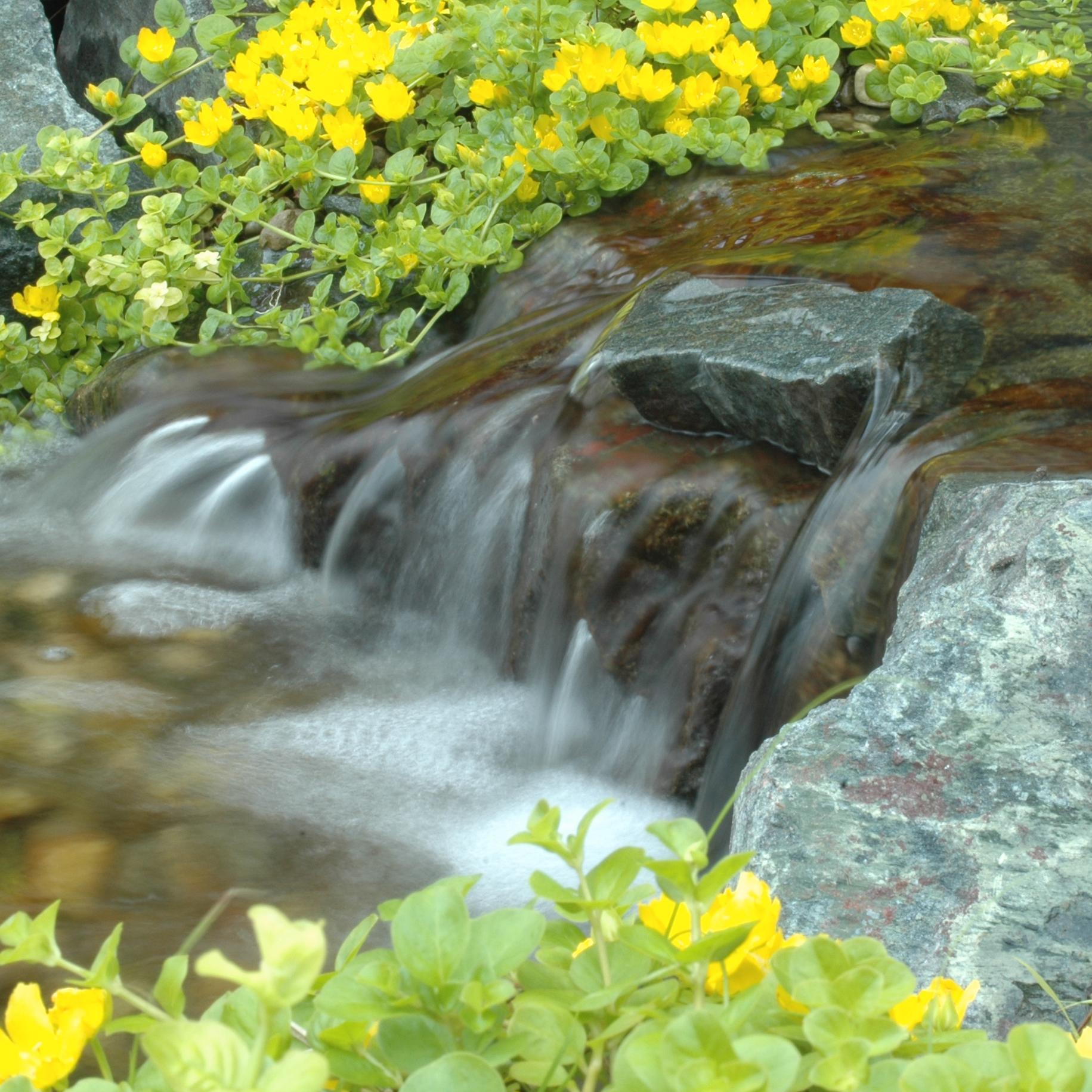 AllTerraScapes's profile picture. Owner of All Terra Landscape of Lansing MI