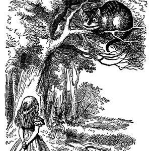 freeradicalfem's profile picture. MD, PhD, southern witch, radical feminist. I do evil things, like respect truth, science, and evidence-based medicine. Follow if you dare.