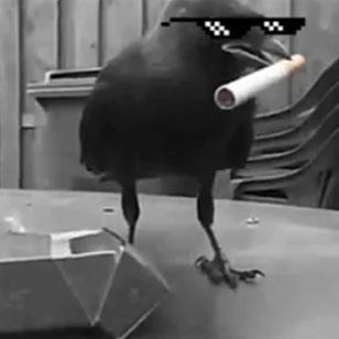 AC6023ITS's profile picture. Information technology