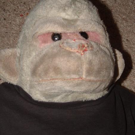 Stuffed Monkey/Political Pundit, Defender of Truth, Ruler of Austraila