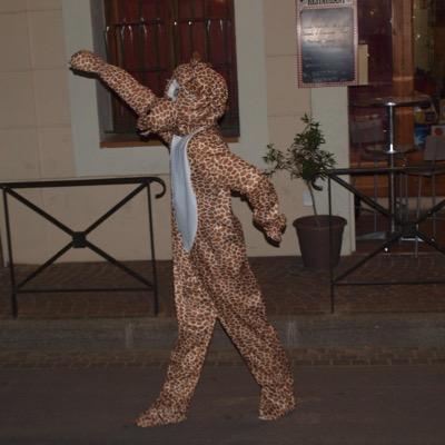 Le seul compte officiel de Paf La Girafe tout les autres sont des fake ma TeamPaf