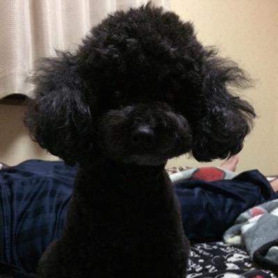 巨なり
